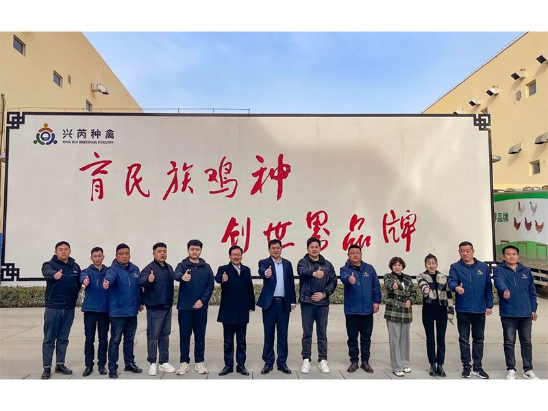 參觀(guān)學(xué)習(xí)促進(jìn)步 交流合作贏(yíng)發(fā)展︱卓一牧業(yè)赴興芮種禽、峪口禽業(yè)與瑞普生物參觀(guān)訪(fǎng)學(xué)