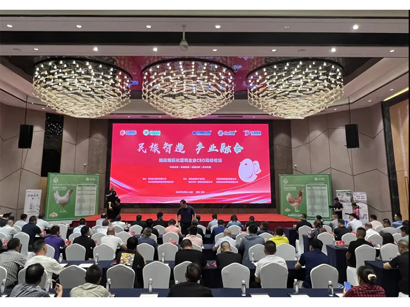 熱烈祝賀湖南規模化蛋雞企業CEO高峰論壇取得圓滿成功!