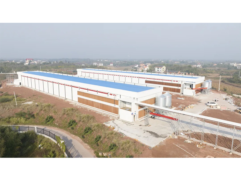 熱烈祝賀西南地區300萬羽蛋雞養殖基地驗收成功,上雞大吉!