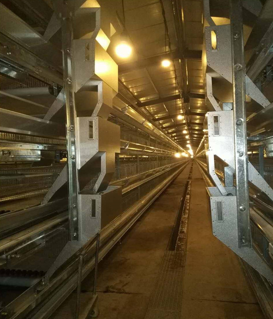 12層大規模產業養雞:開啟養雞業新篇章