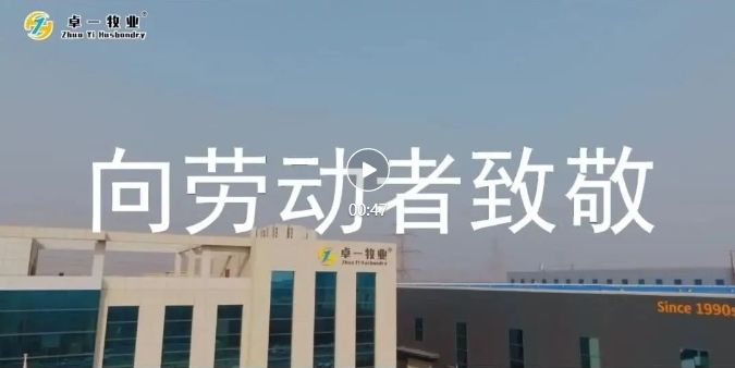 五一勞動節 | 致敬每一個努力奮斗的卓一人